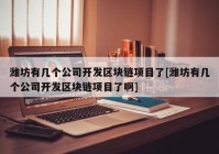 潍坊有几个公司开发区块链项目了[潍坊有几个公司开发区块链项目了啊]